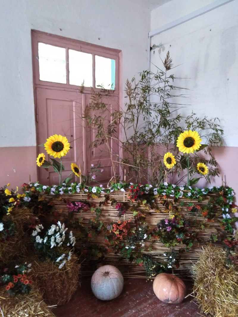 IMG 20191026 110240