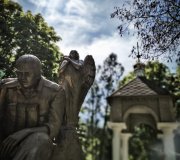 Фото роботи учасника 1