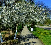 Фото роботи учасника 4