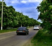 Фото роботи учасника 4