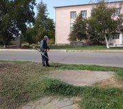Покіс трави..