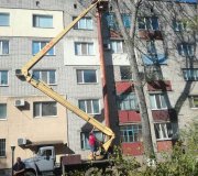 Пониження крон дерев