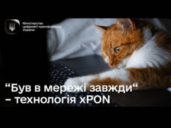 Рудий кіт із білими грудьми дивиться в екран ноутбука. На зображенні напис «Був в мережі завжди» — технологія xPON та логотип Міністерства цифрової трансформації України.